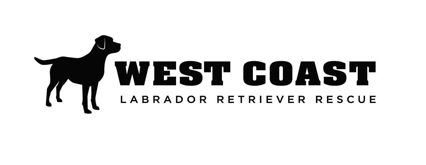 West Coast Labrador Retriever Rescue