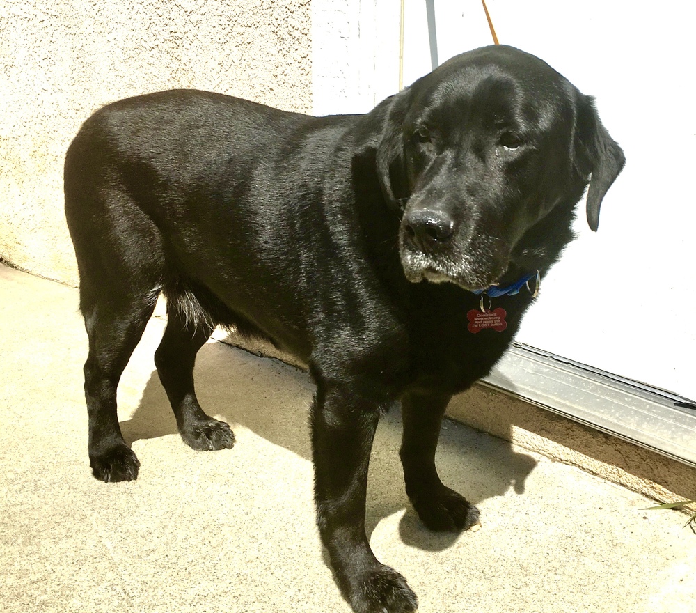 Buster 611473